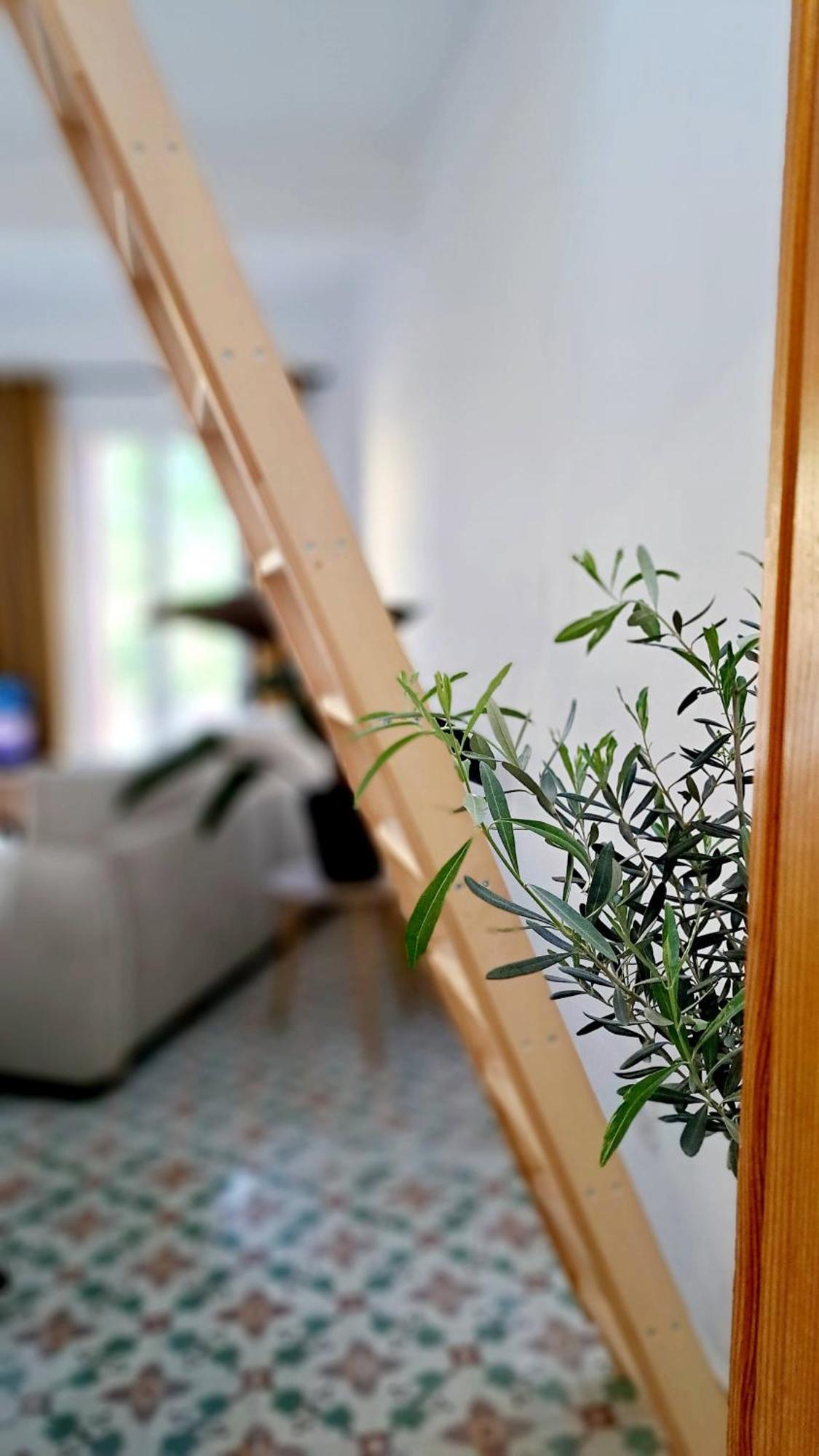 Casa Tramuntana Hotell Tautavel Exteriör bild